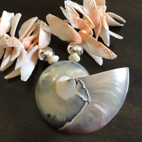 Shell necklace - Picture 4 of 5